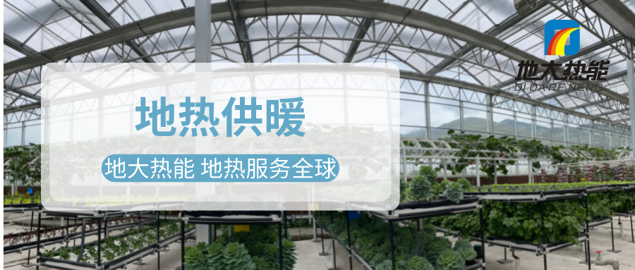 發(fā)揮地熱資源優(yōu)勢，地熱農業(yè)實現(xiàn)花卉產(chǎn)業(yè)特色發(fā)展 | 地大熱能 地熱服務全球
